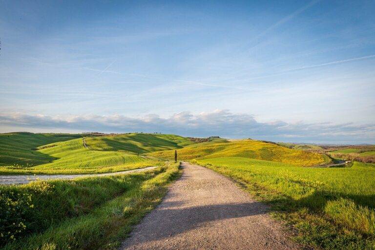 Climate-Friendly Travel: Offsetting Carbon Footprint and Adopting Green Practices