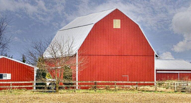 Comparing Metal Roofing Types: Pros and Cons: Silverexch, Goldenexch. Bet, Betbook247