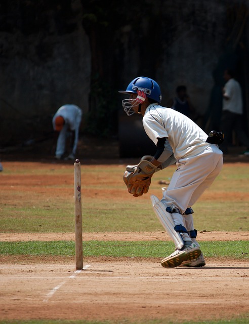 Cricket and Ethical Consumerism: Fair Trade Initiatives